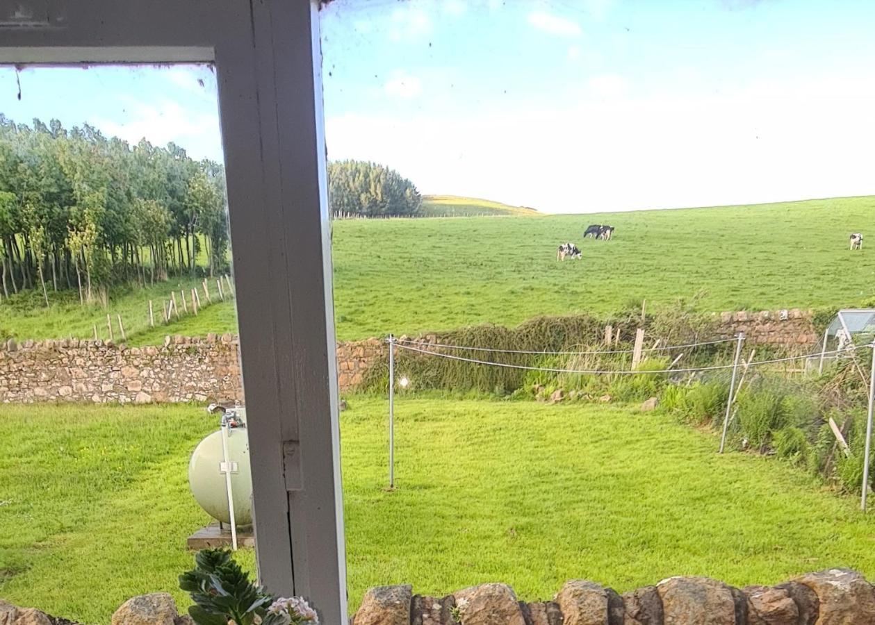 Spacious Rural Cottage Outside Campbeltown Exterior foto